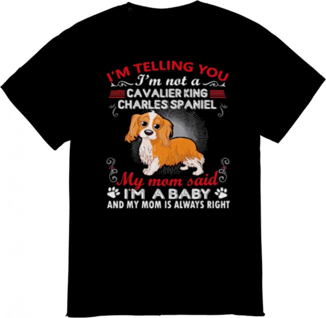 Cavalier King Charles Spaniel